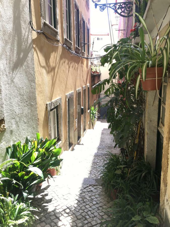 Casa Da Saudade, A Cozy Apartment In Alfama Lisboa Exteriör bild